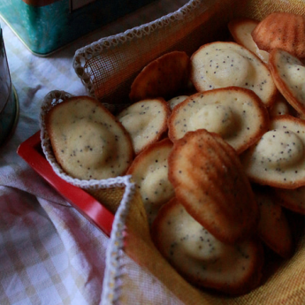 ricetta Madeleines al mosto e semi di papavero