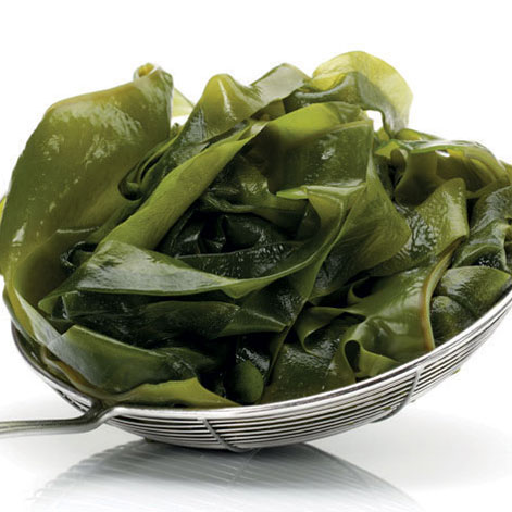 Alga Wakame