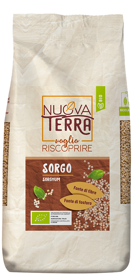 Organic Sorghum  Grown in Italy