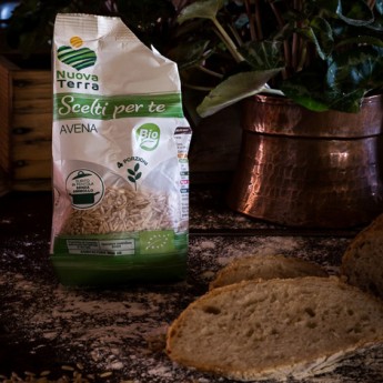 ricetta Pane integrale di farine miste con chicchi di avena bio