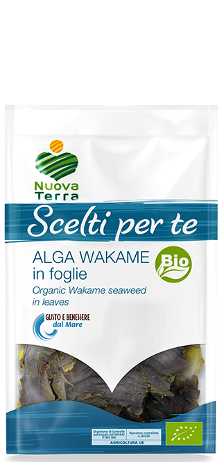 ricette con Alga Wakame foglie Bio