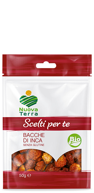 ricette con Bacche Inca bio