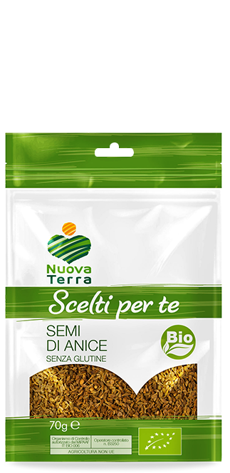 ricette con Semi di Anice Bio